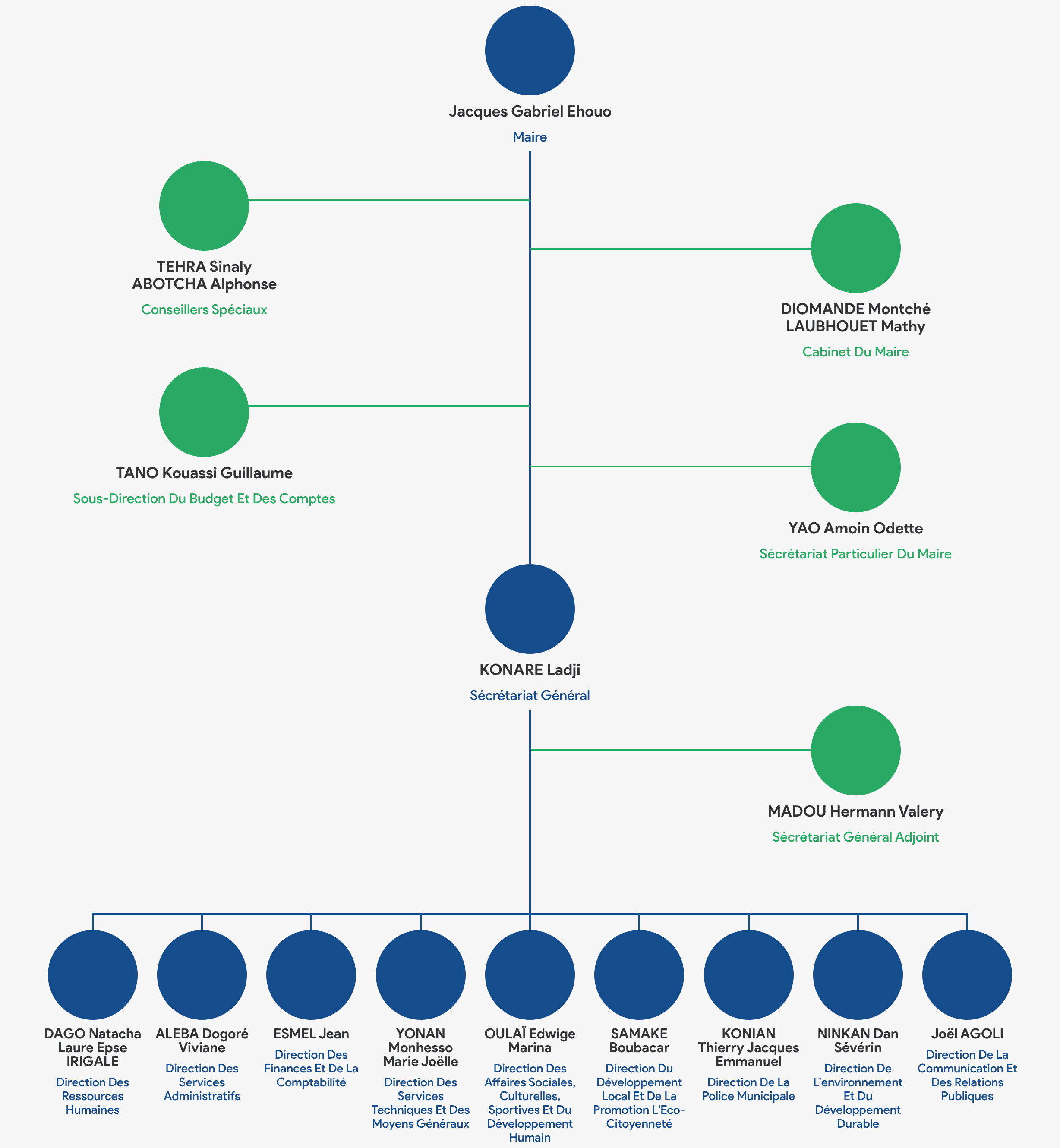 Organigramme